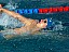 dscf3788.jpg