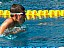 dscf3901.jpg